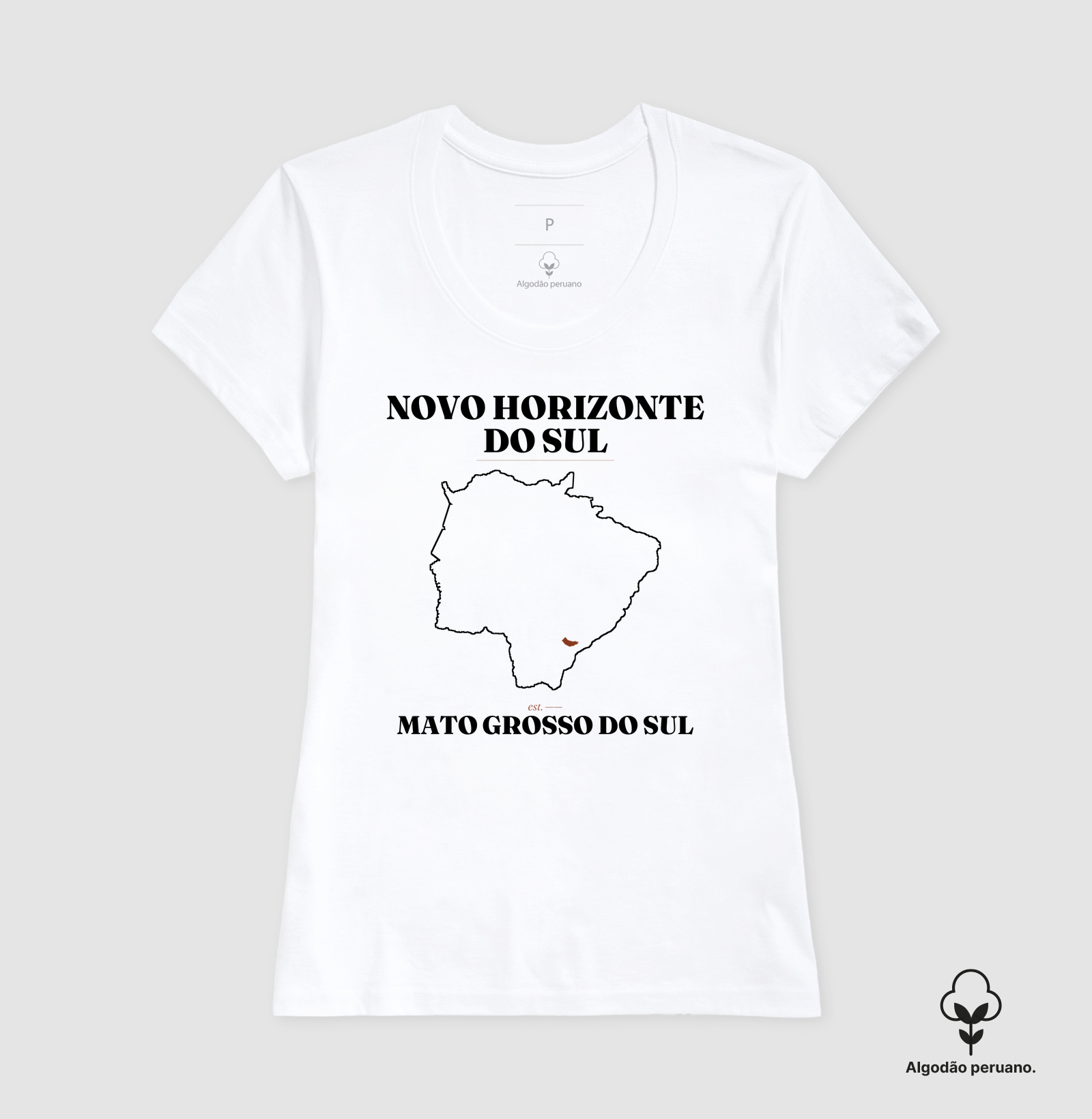 Novo Horizonte do Sul | Legado MS - Imagem 4