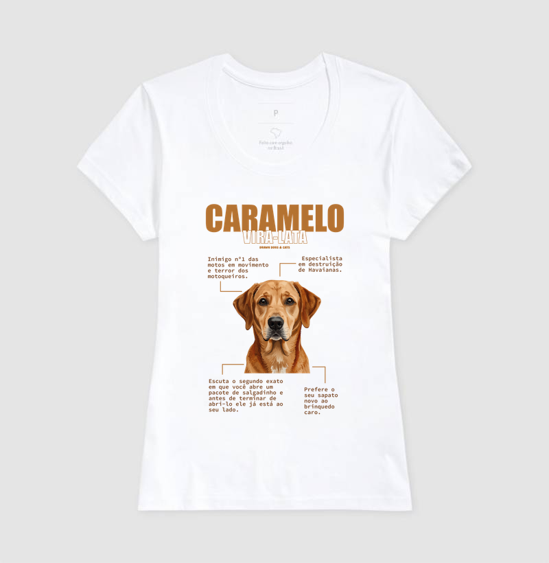 Vira-lata caramelo - Imagem 4
