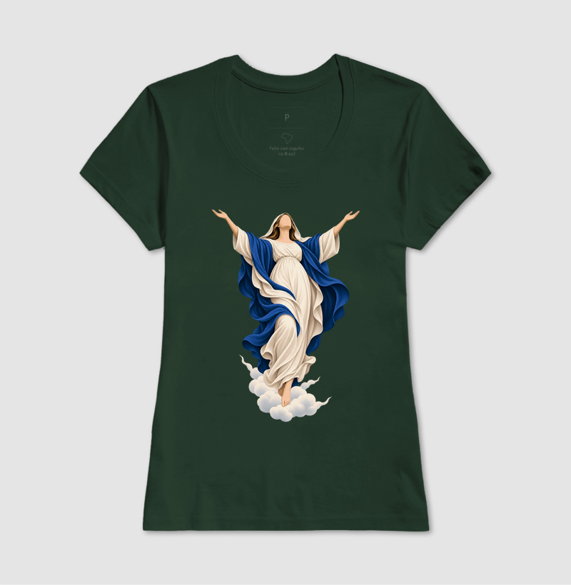 Assunção de Nossa Senhora - Imagem 11