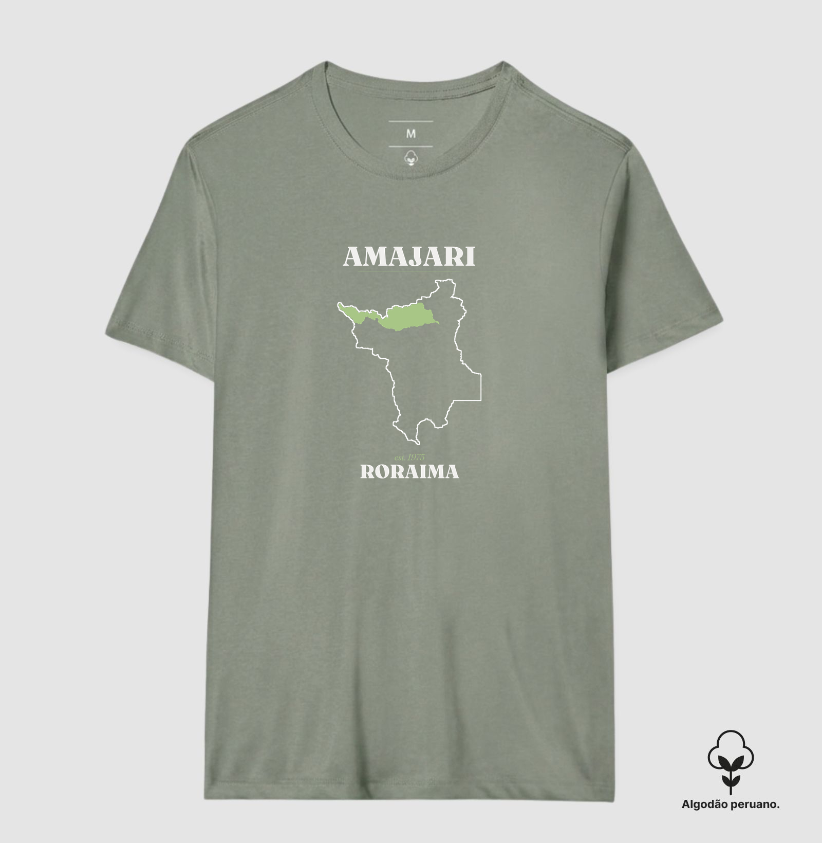 Amajari | Legado RR - Imagem 2