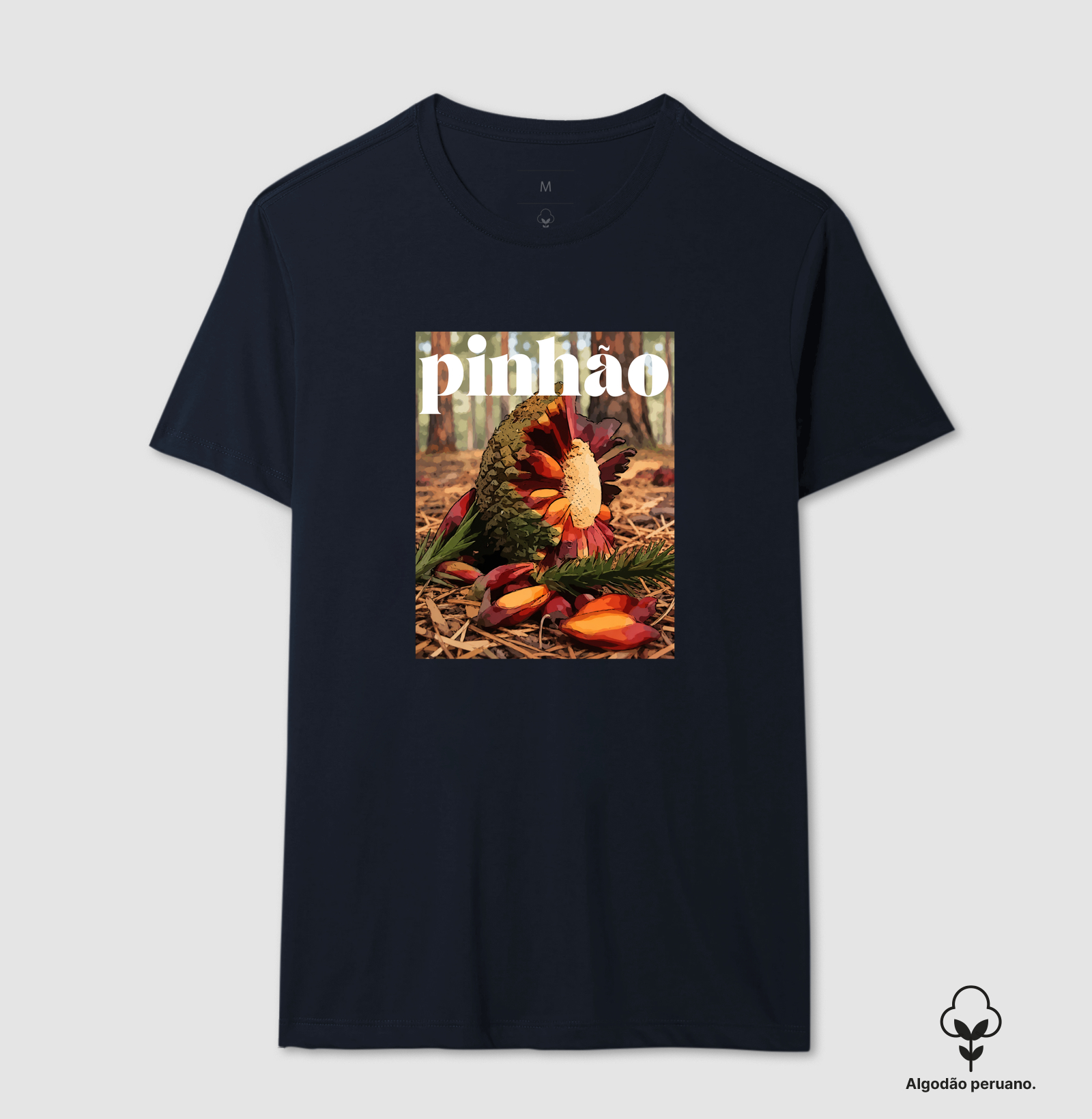 Pinhão - Imagem 7