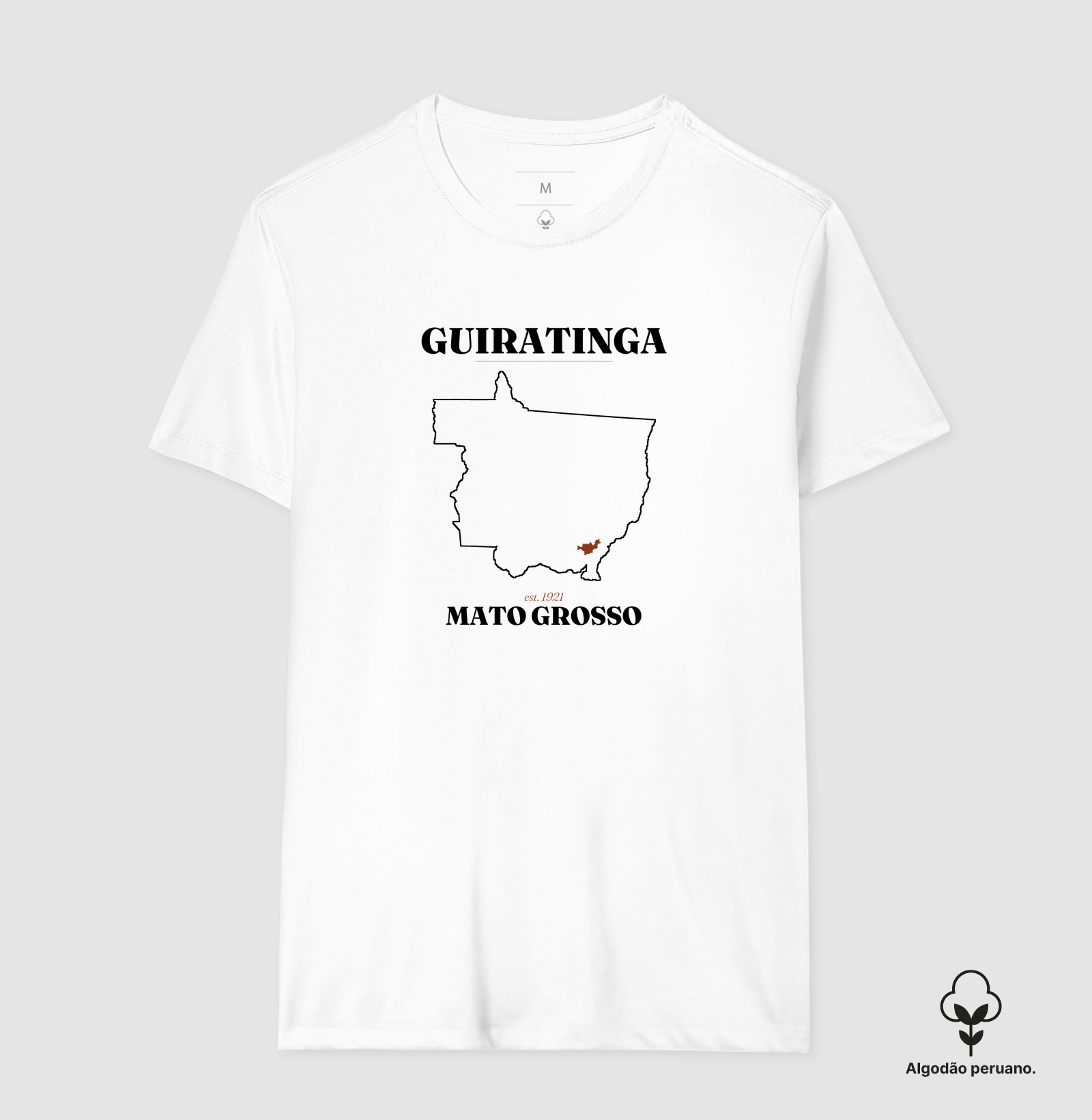 Guiratinga | Legado MT - Imagem 8