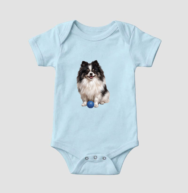 Pomerânia Preta e Branca (Spitz Alemão) - Imagem 4