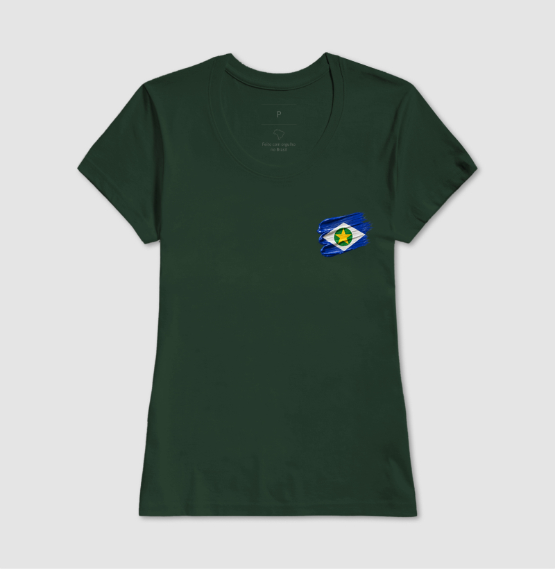 Mato Grosso | Tela de Pintura - Imagem 13