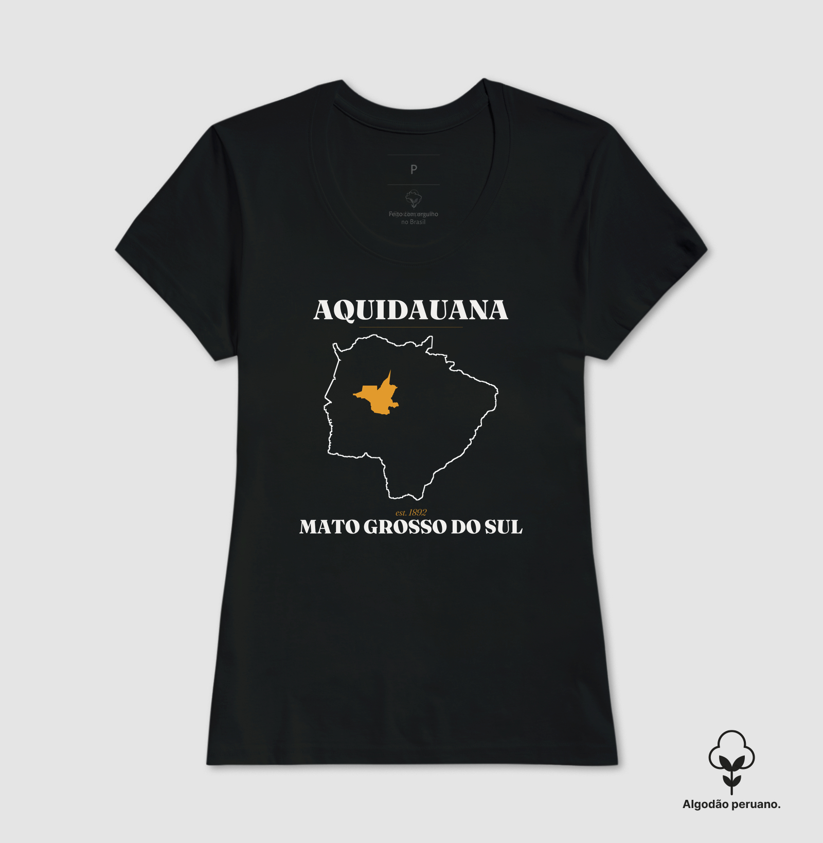 Aquidauana | Legado MS - Imagem 9