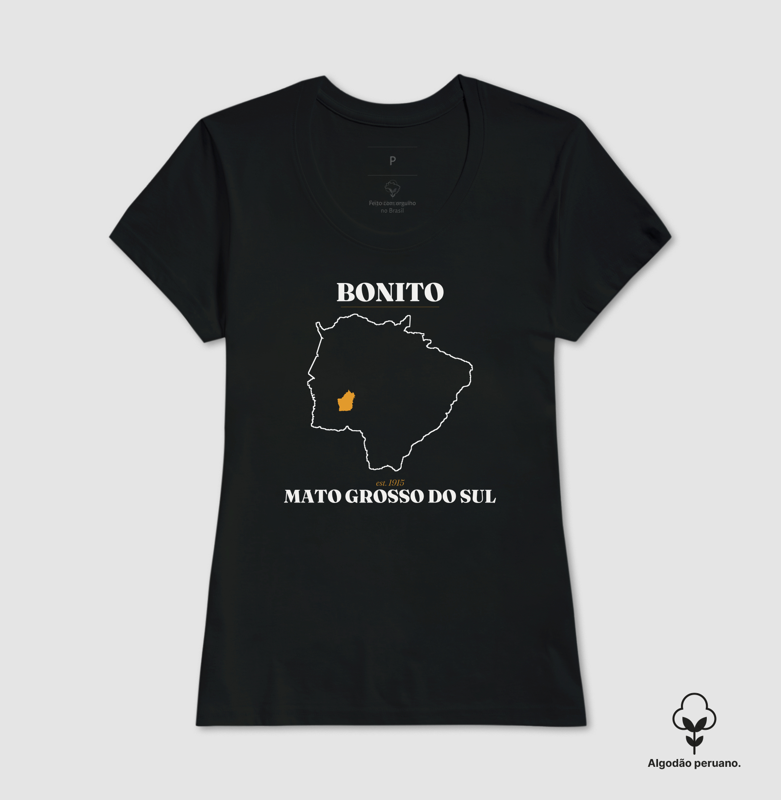Bonito | Legado MS - Imagem 6