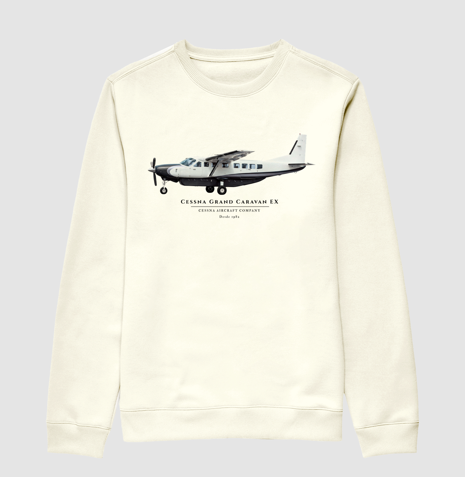 Cessna Grand Caravan EX - Imagem 2