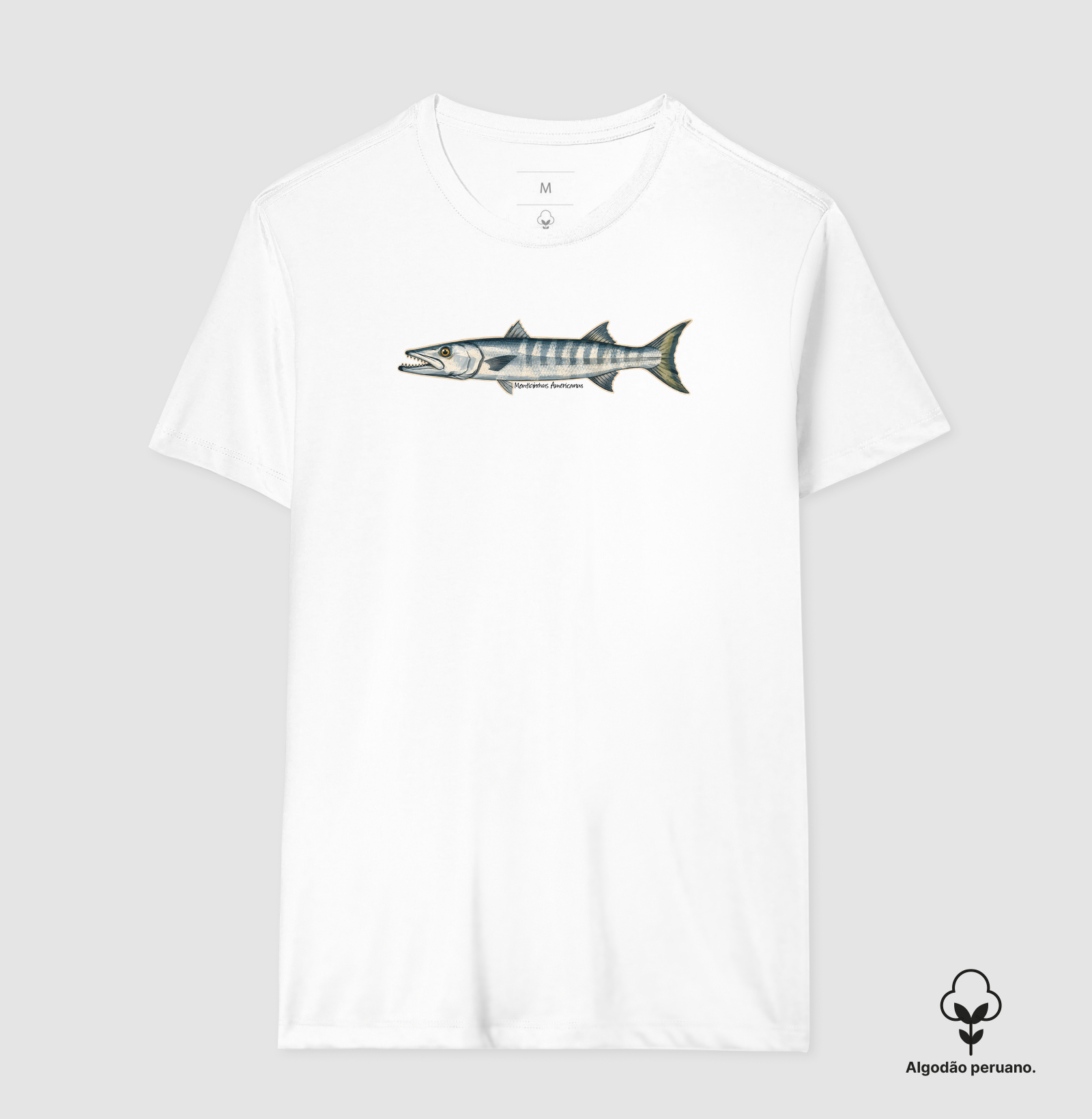Barracuda - Imagem 9
