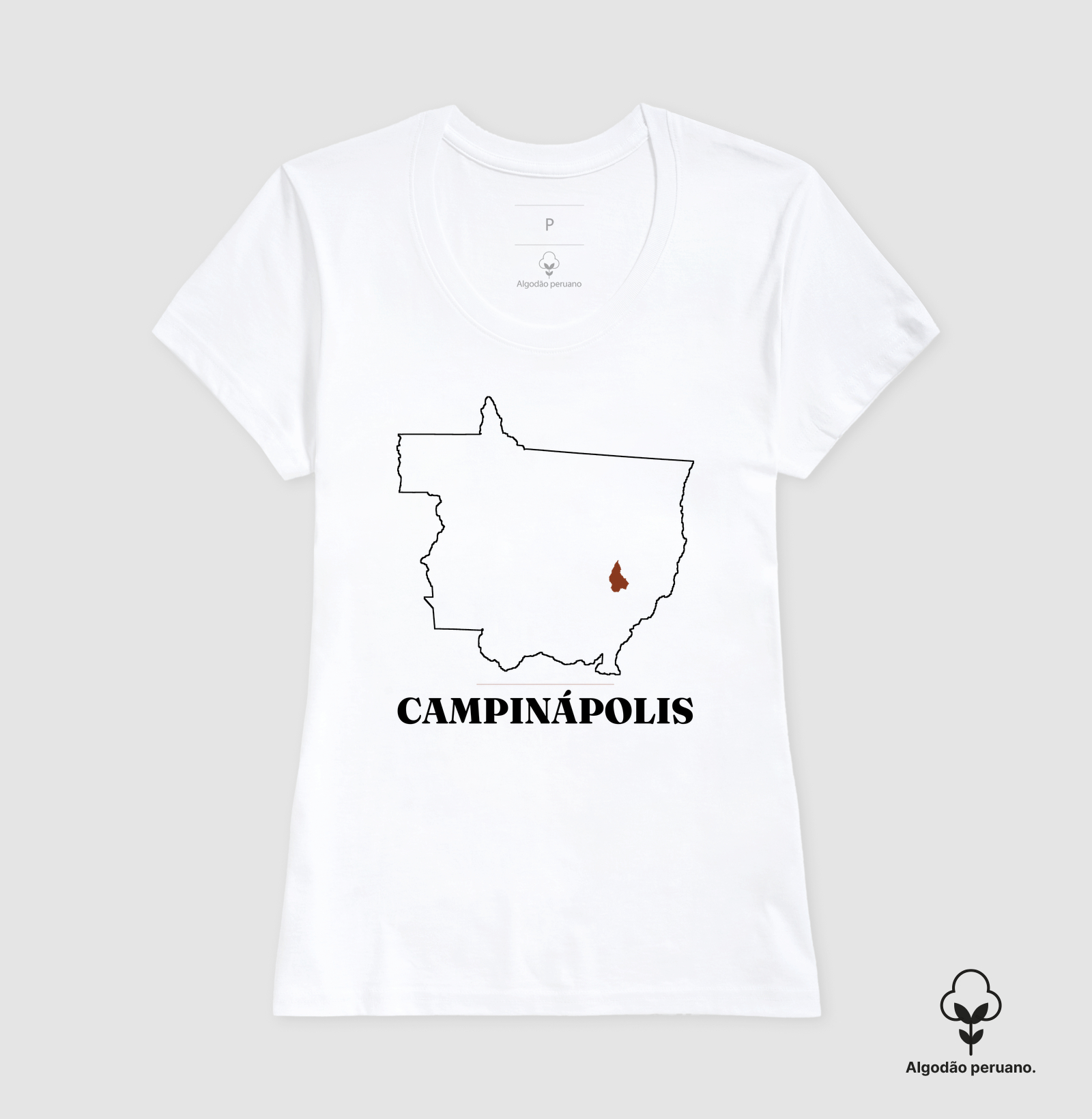 Campinápolis | Traço MT - Imagem 4