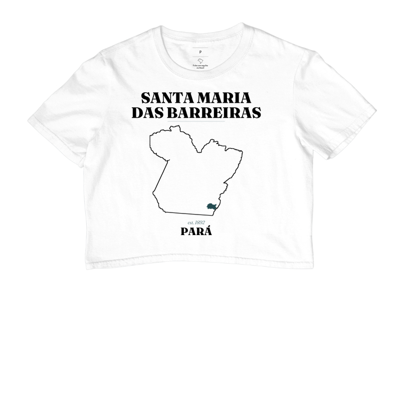Santa Maria das Barreiras | Legado PA - Imagem 3