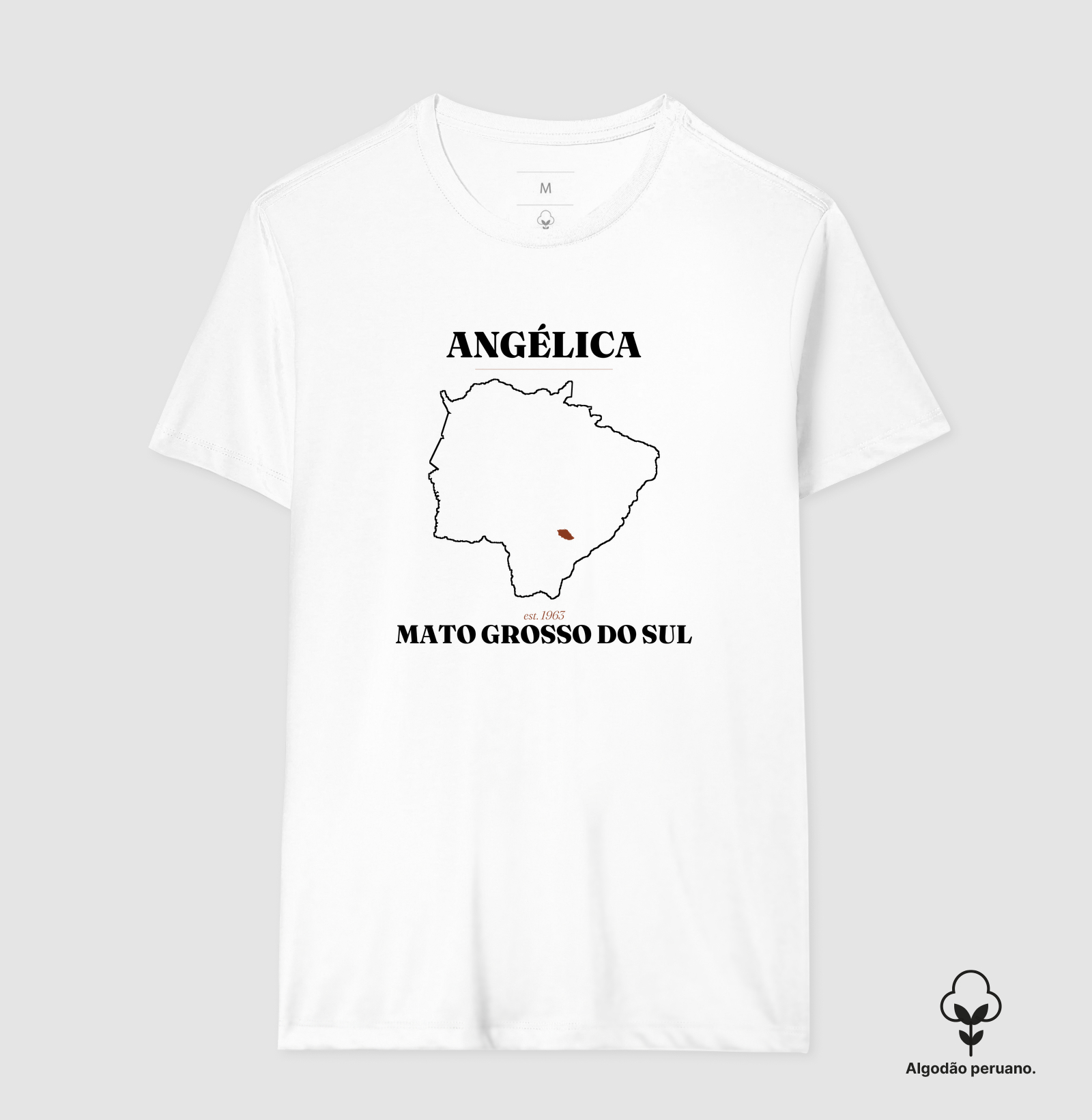 Angélica | Legado MS - Imagem 8