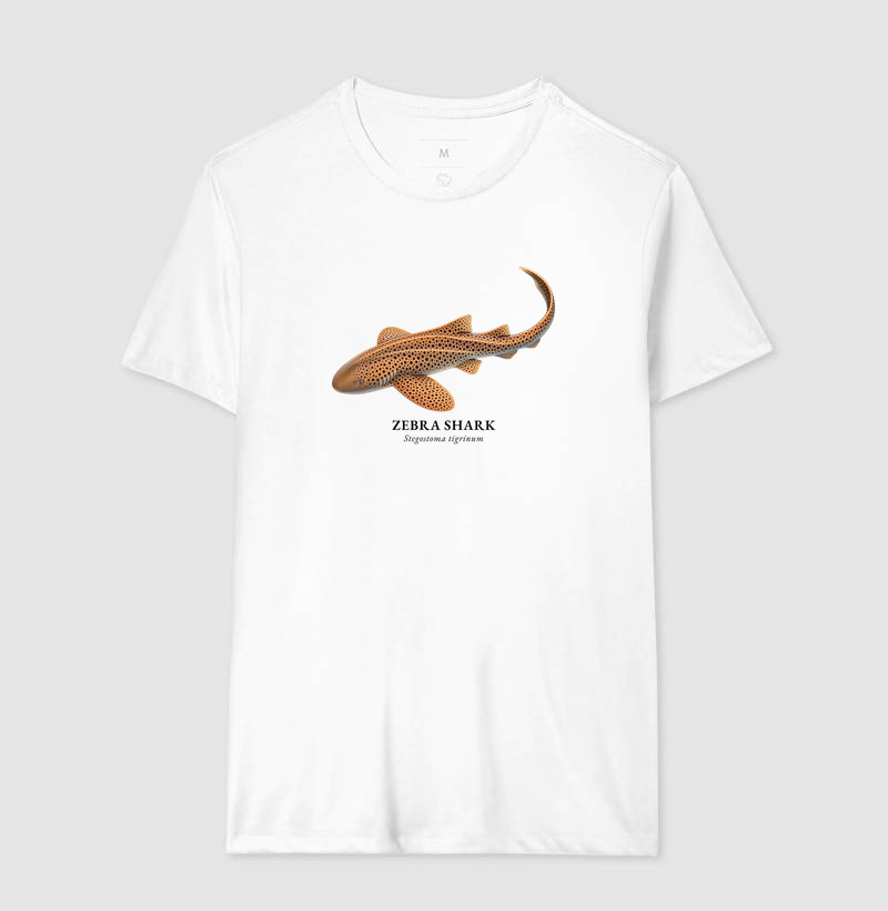 Zebra Shark - Imagem 5