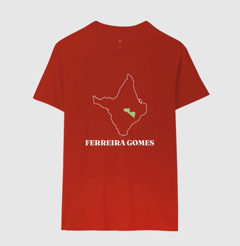 Ferreira Gomes | Traço AP - Imagem 10