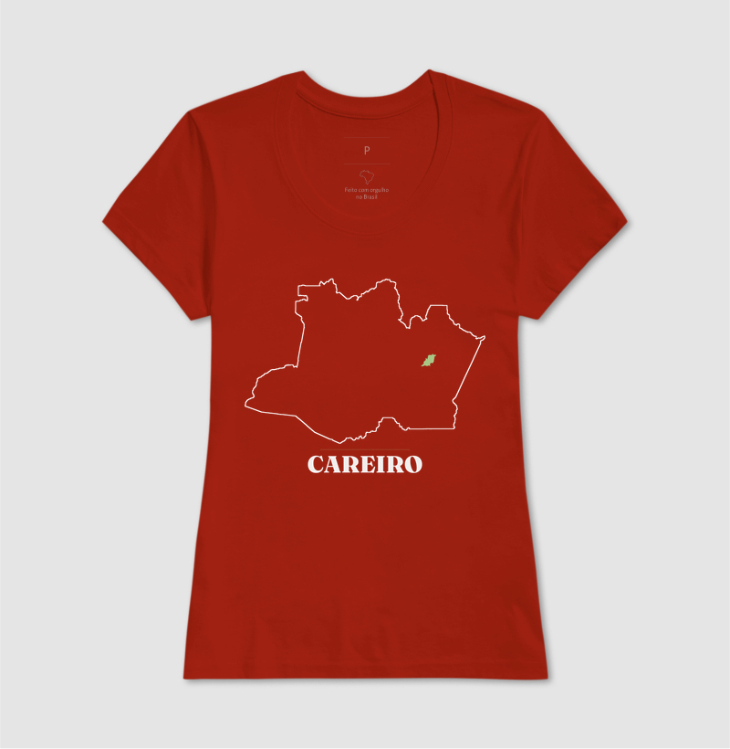 Careiro | Traço AM - Imagem 11