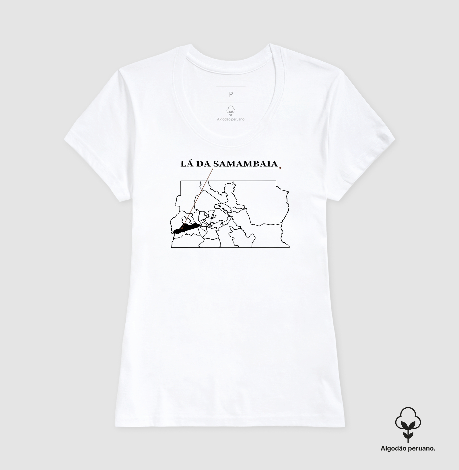 Samambaia | Origem DF - Imagem 7