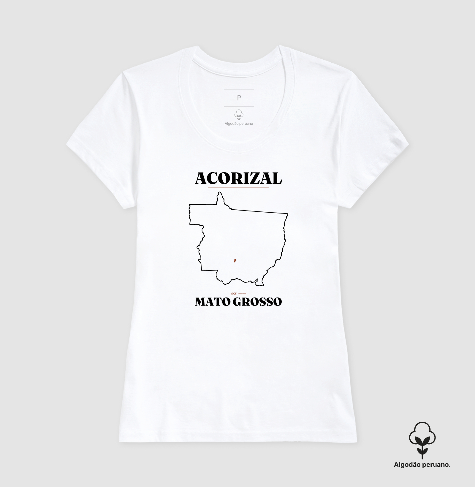 Camisa 2