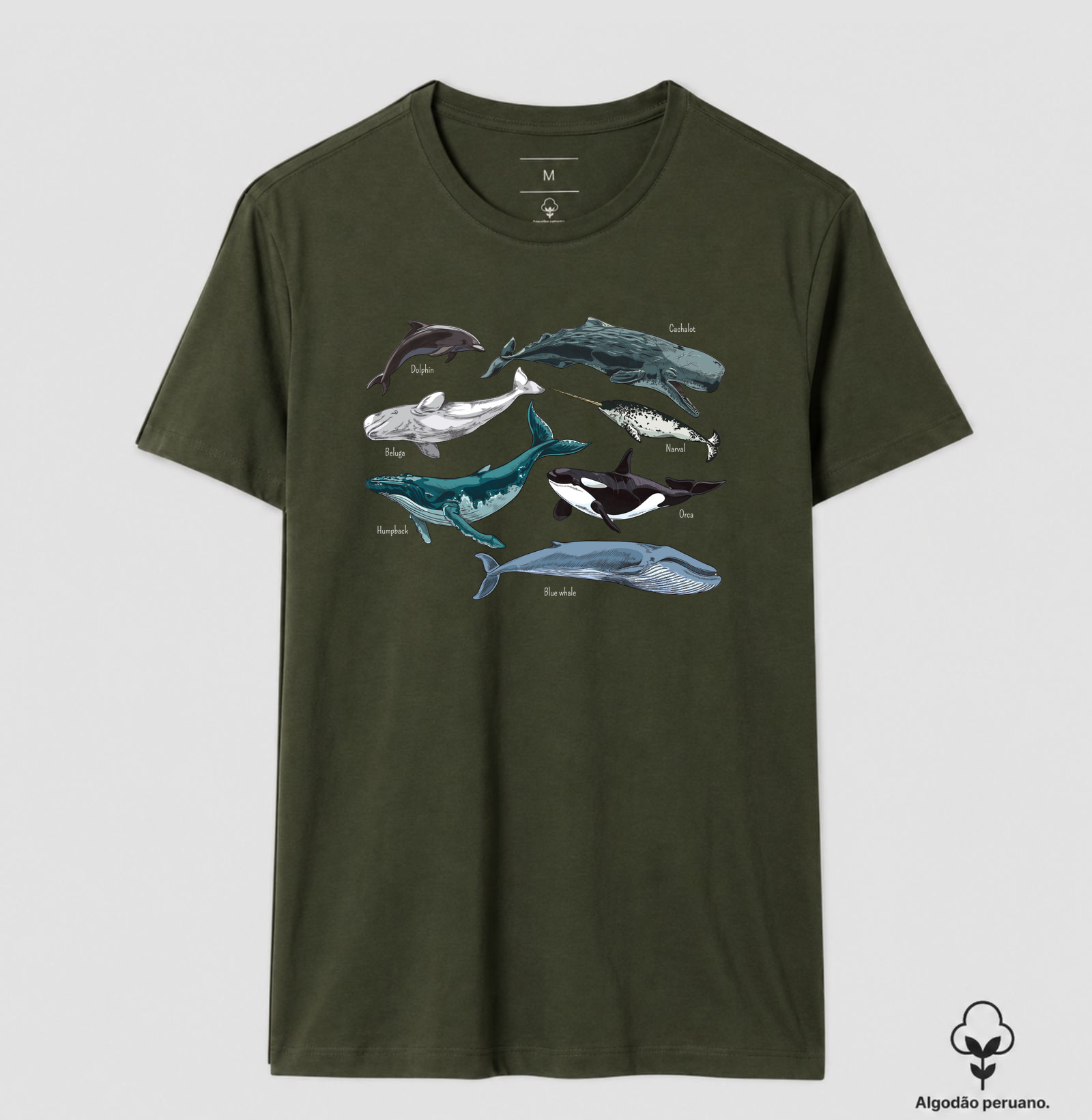 Camisa 7