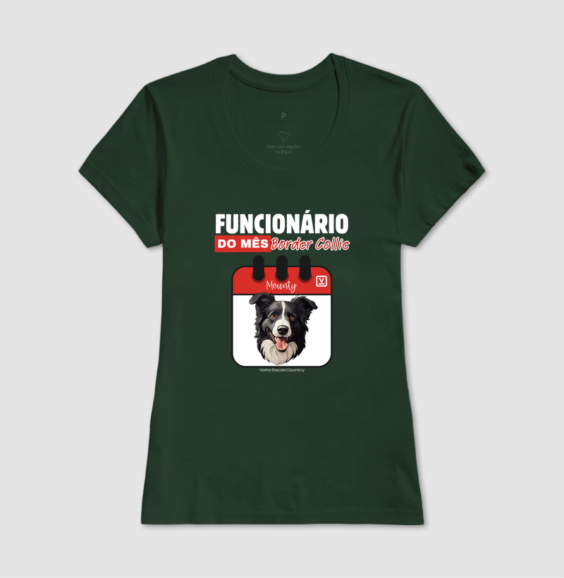 Border Collie - Imagem 11
