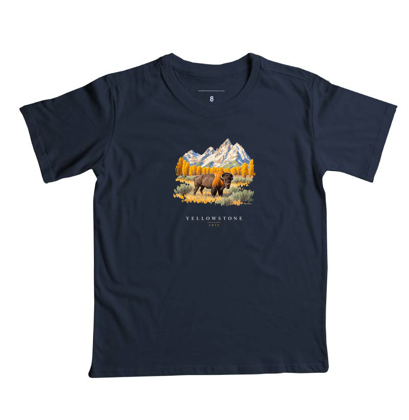 Bison - Yellowstone - Imagem 4