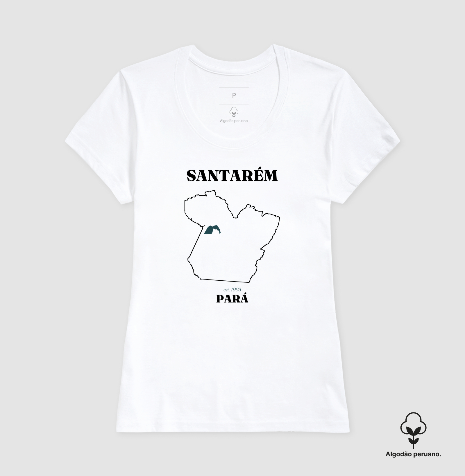 Santarém | Legado PA - Imagem 9