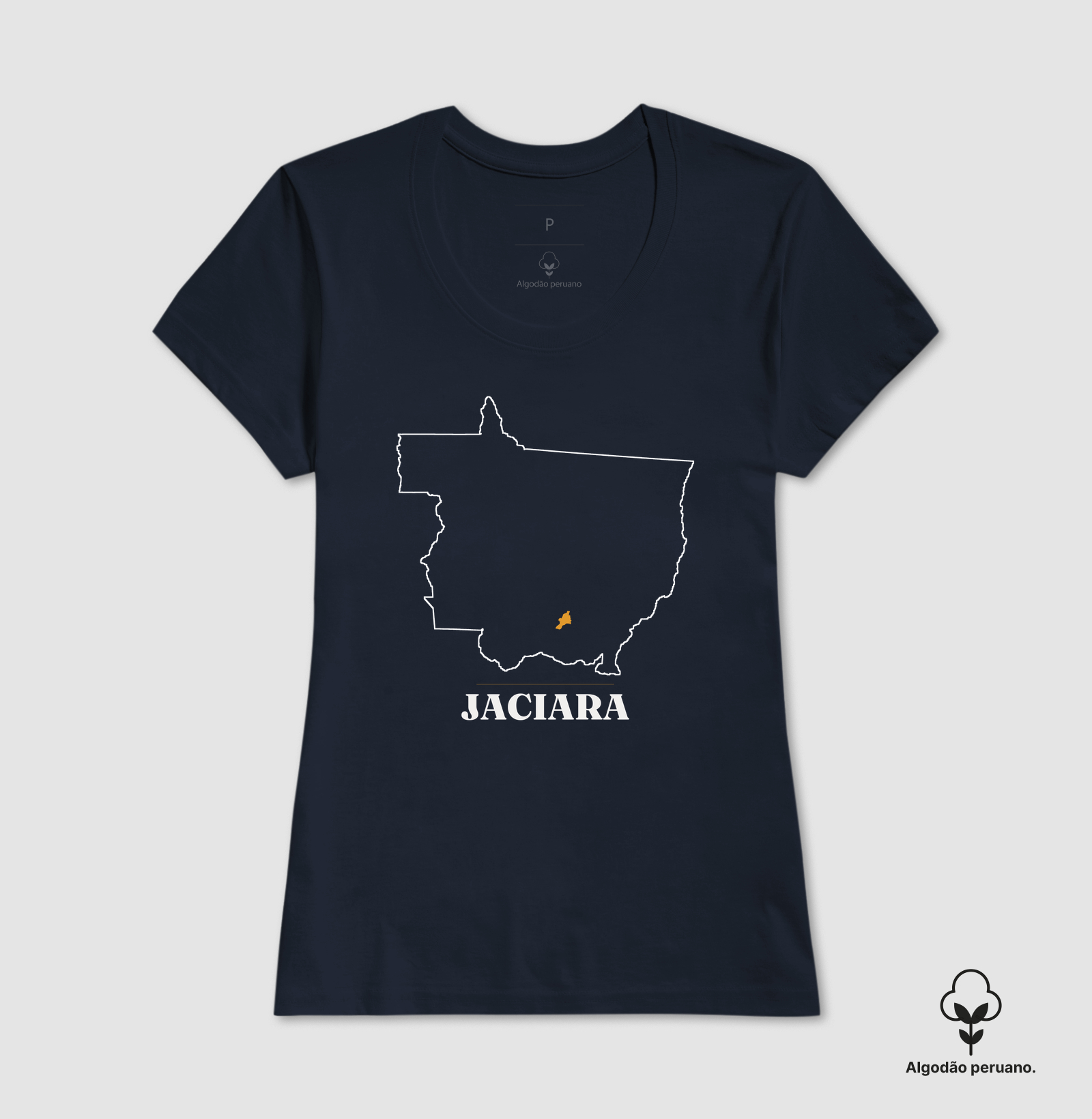 Jaciara | Traço MT - Imagem 6