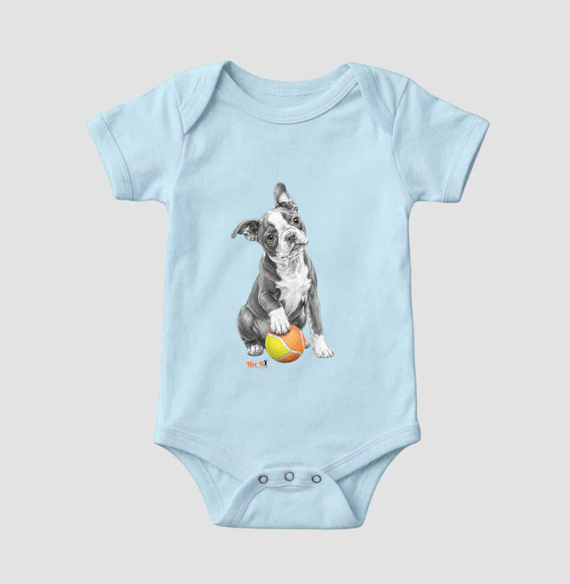 Boston Terrier do Beach - Imagem 4