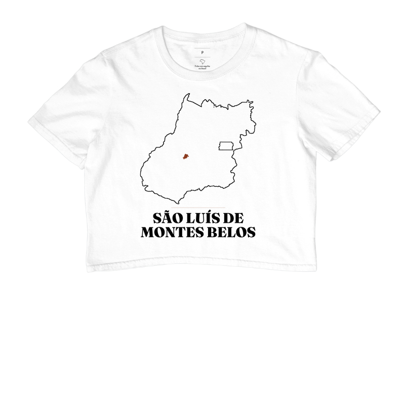 São Luís de Montes Belos | Traço GO - Imagem 3