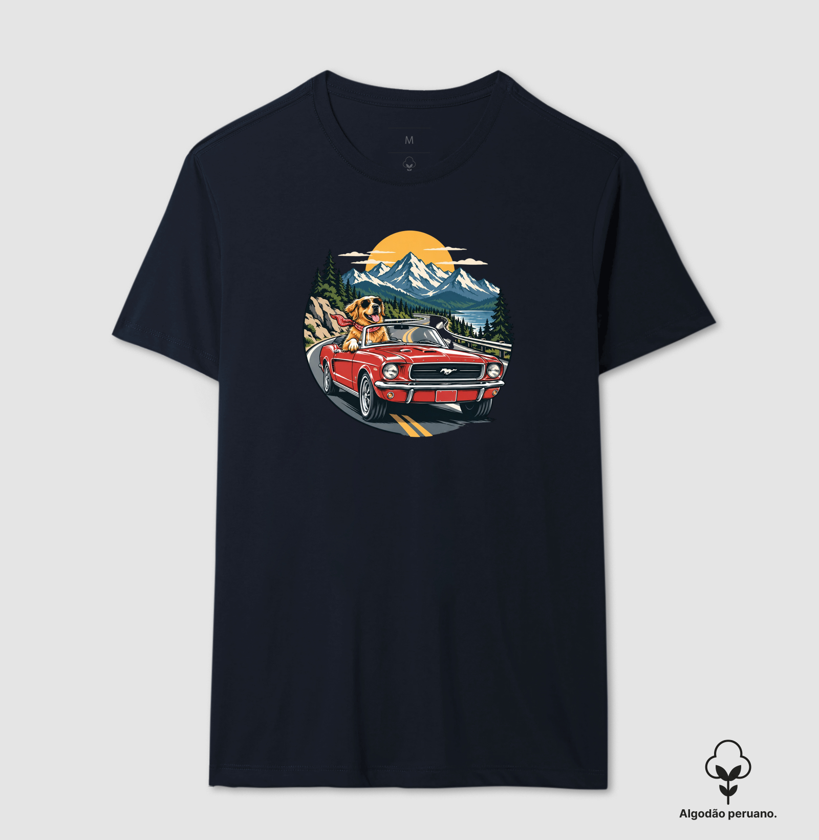 Road Trip - Imagem 6