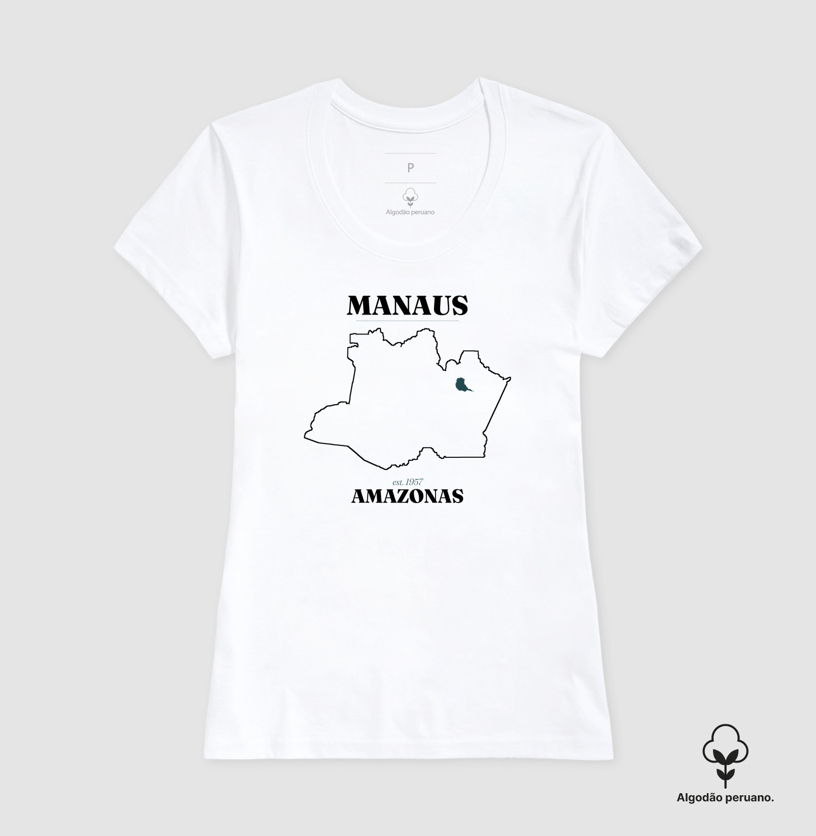 Manaus | Legado AM - Imagem 3