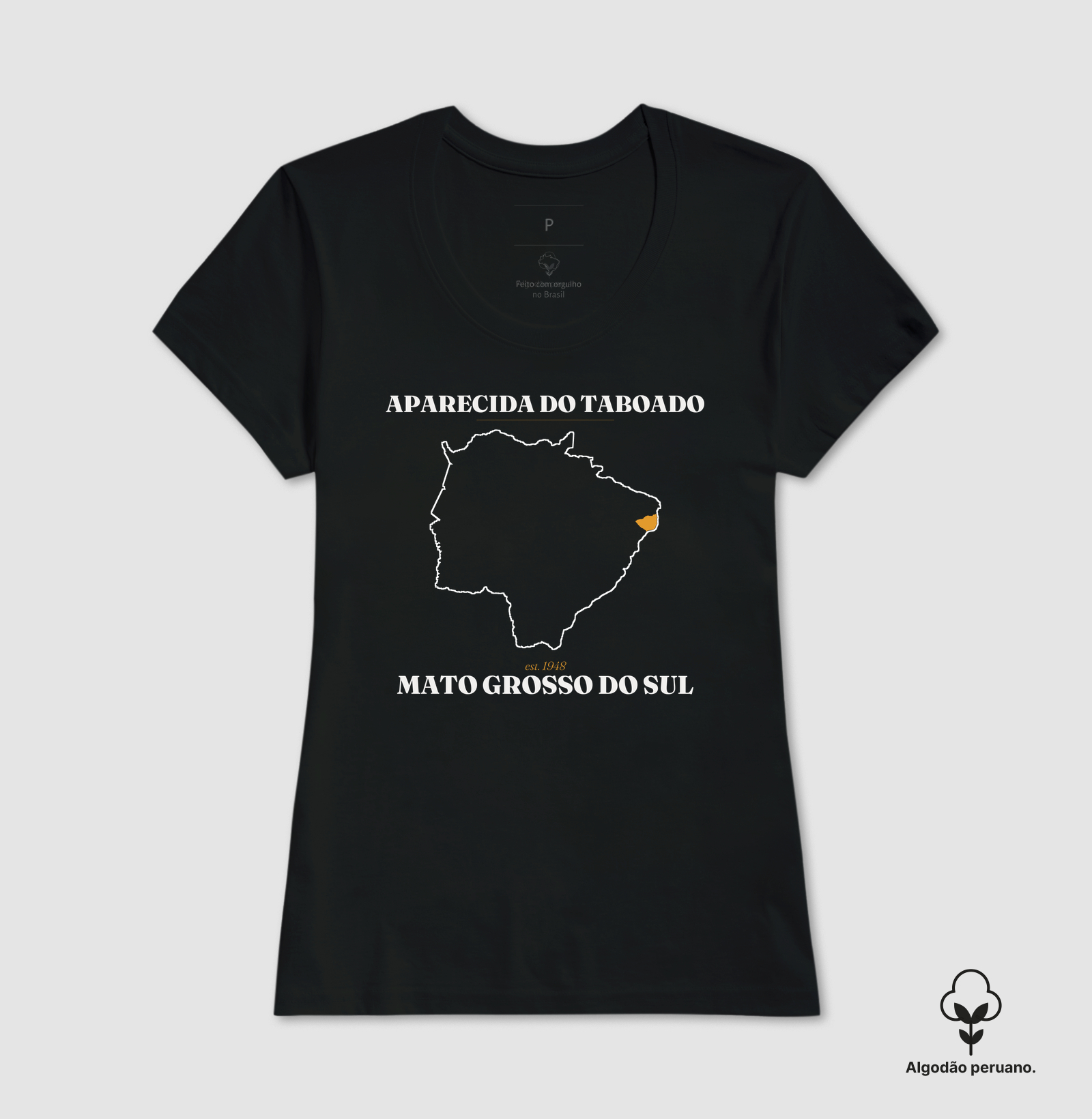 Aparecida do Taboado | Legado MS - Imagem 4