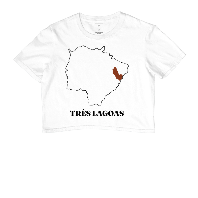 Três Lagoas | Traço MS - Imagem 3