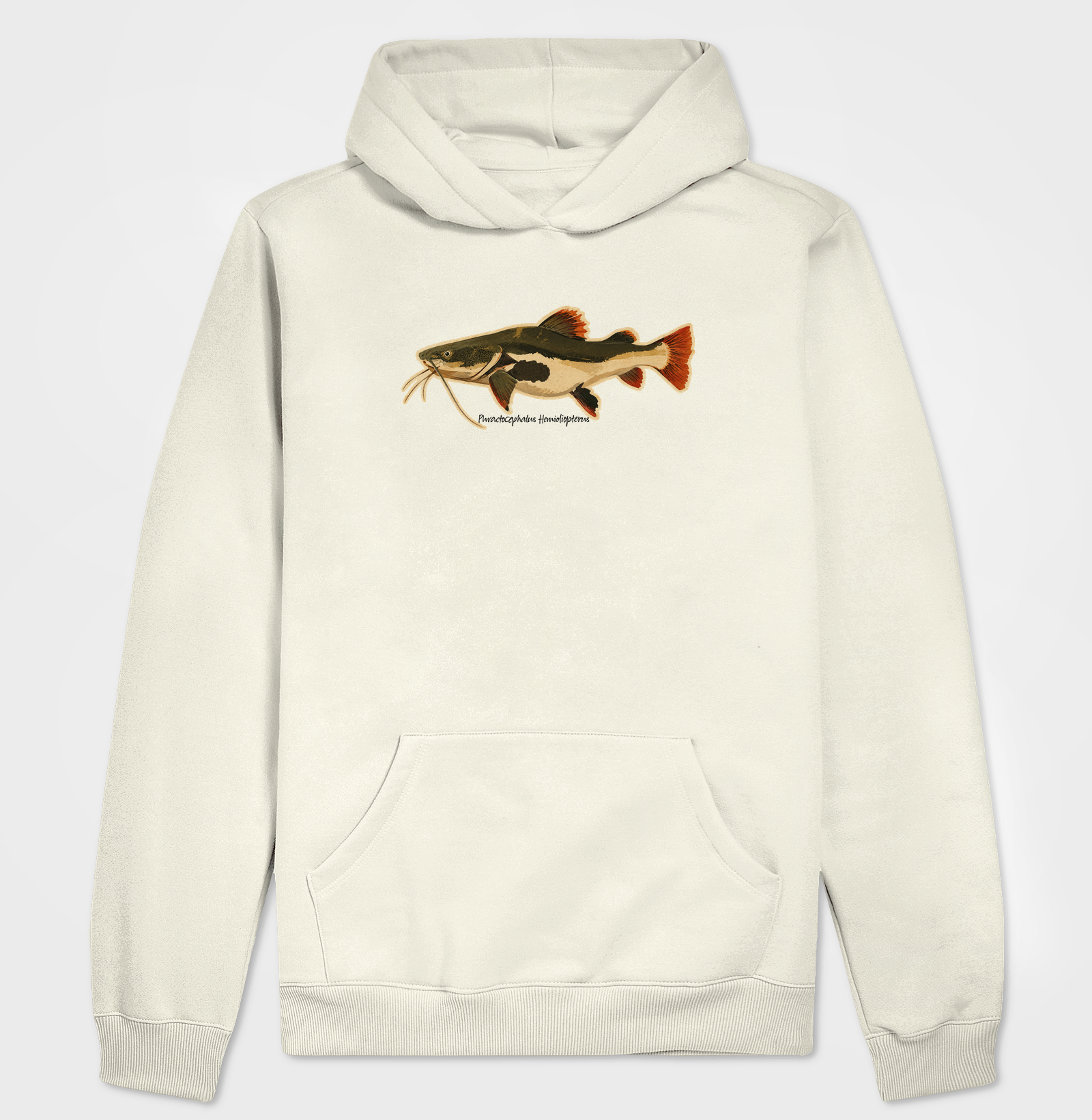 Pirarara 🐟 - Imagem 3