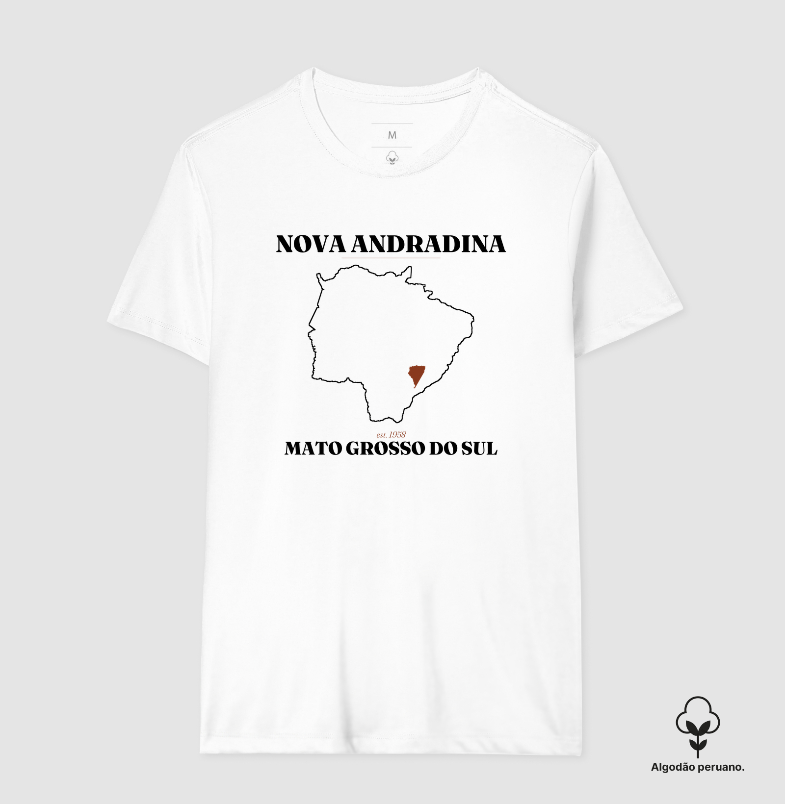 Nova Andradina | Legado MS - Imagem 6