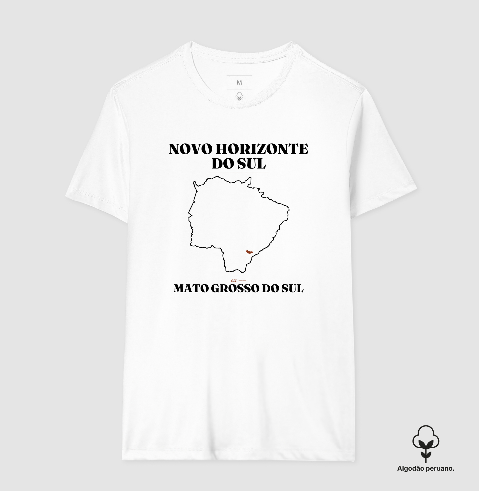 Novo Horizonte do Sul | Legado MS - Imagem 8