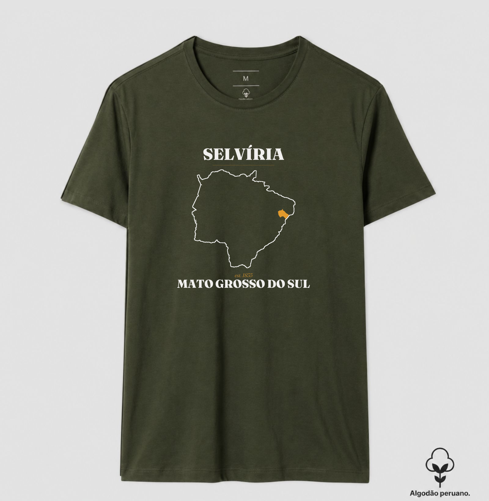 Selvíria | Legado MS - Imagem 9