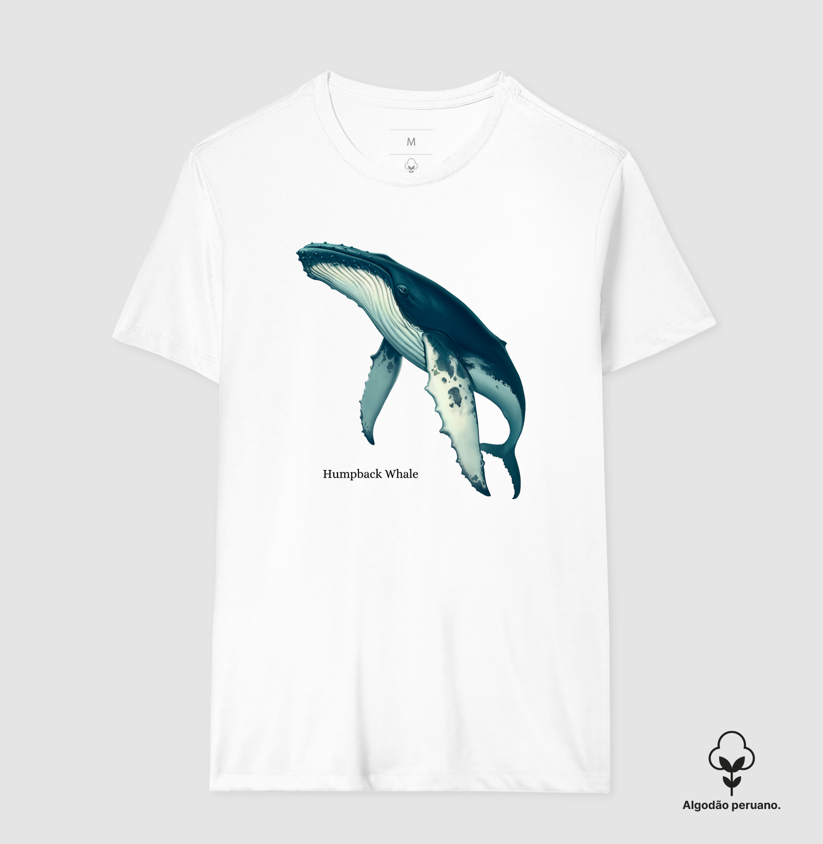 Humpback Whale - Imagem 7