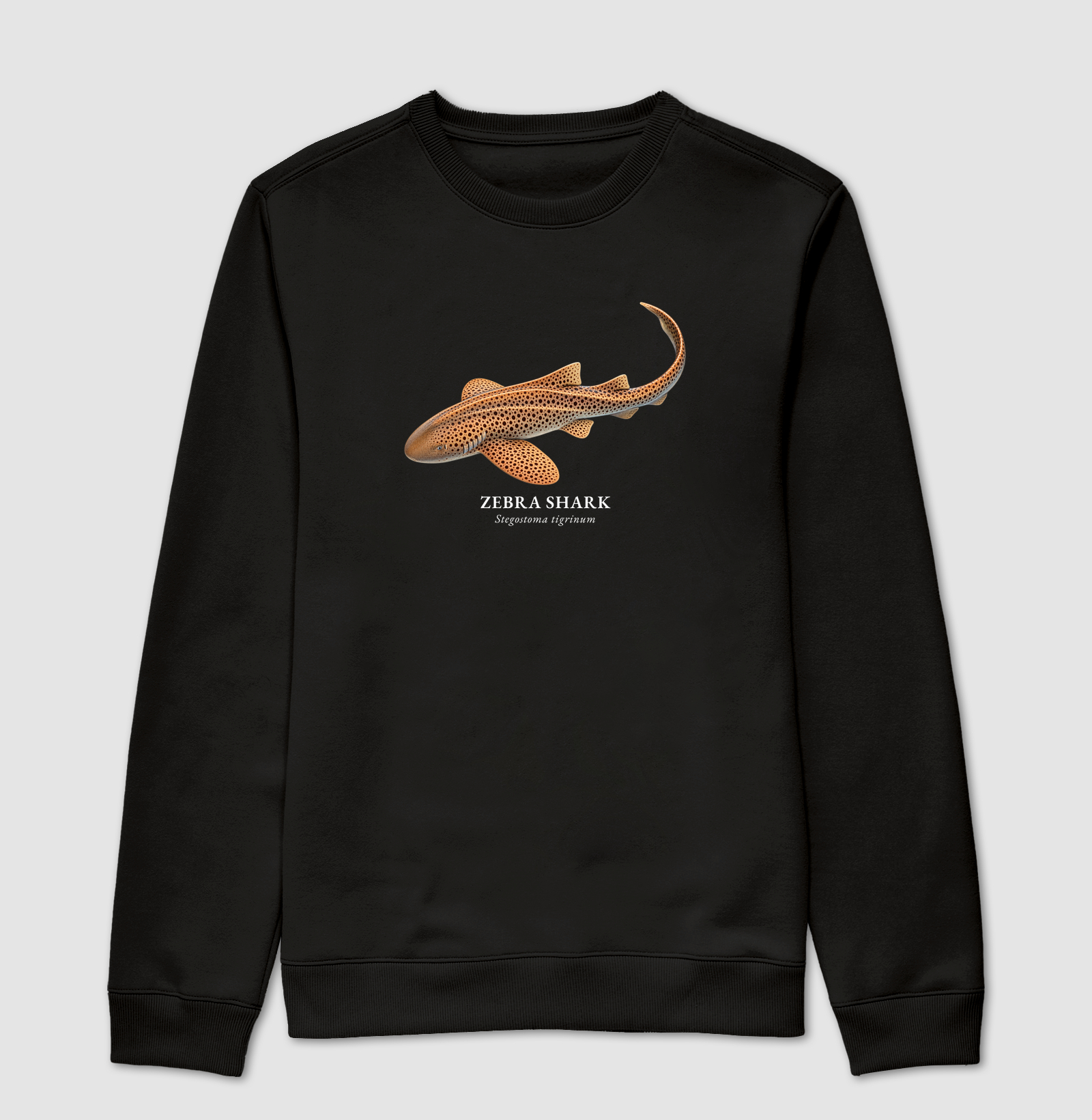 Zebra Shark - Imagem 4