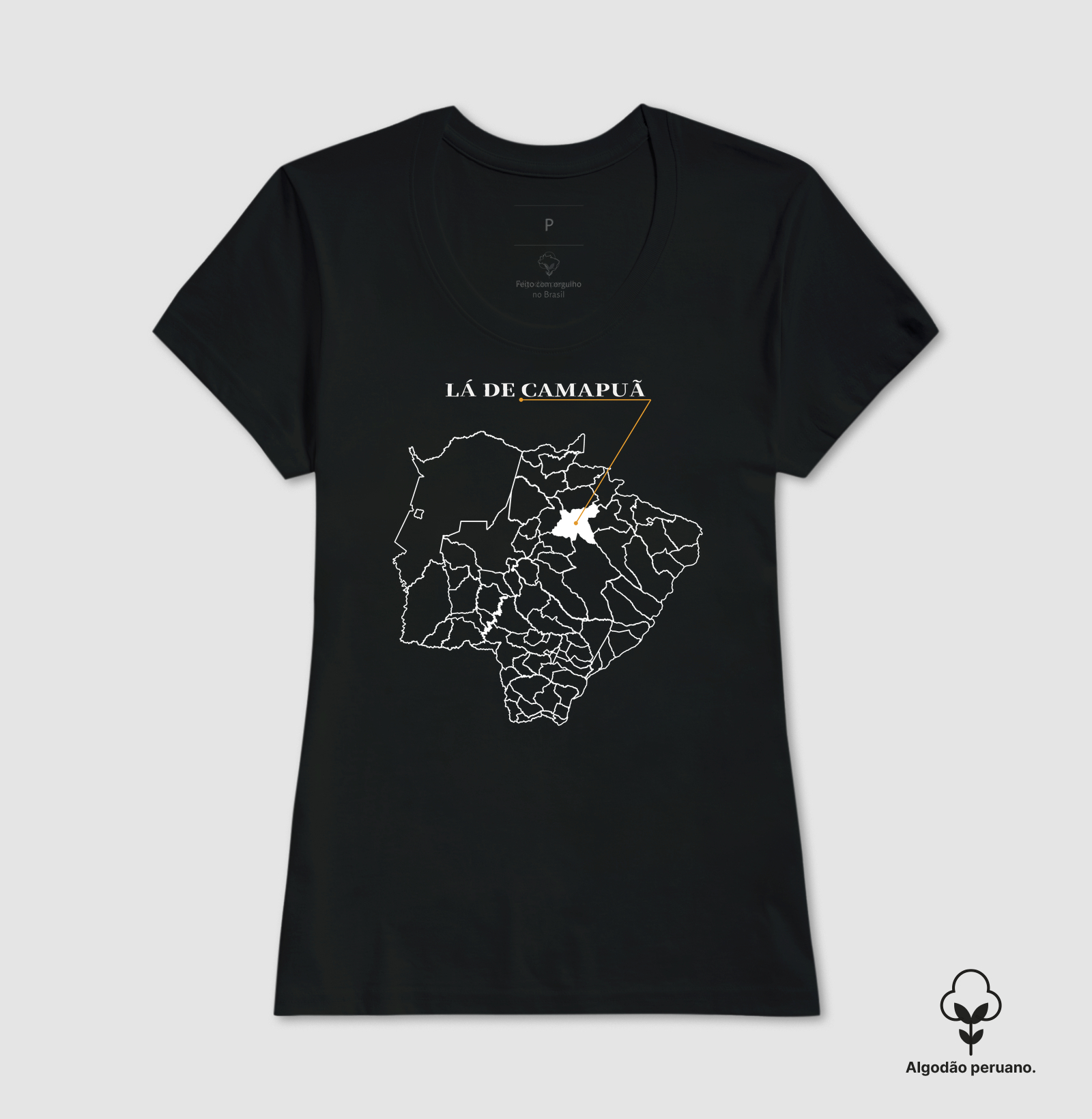 Camapuã | Origem MS - Imagem 5