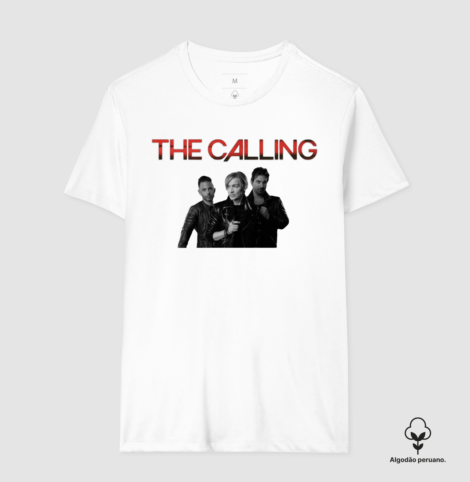 The Calling - Integrantes - Imagem 8