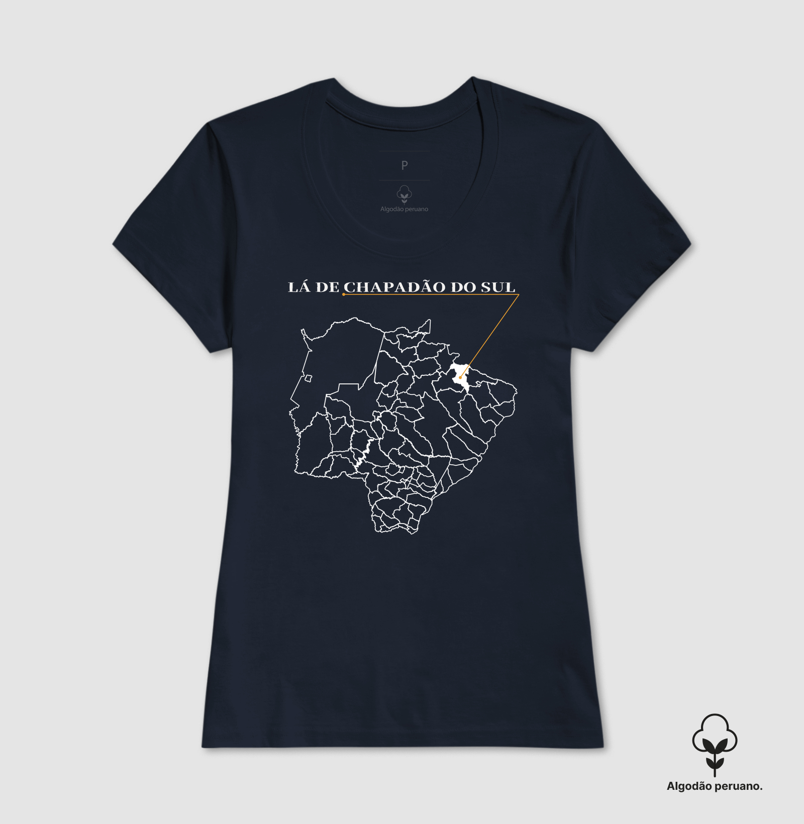 Chapadão do Sul | Origem MS - Imagem 5