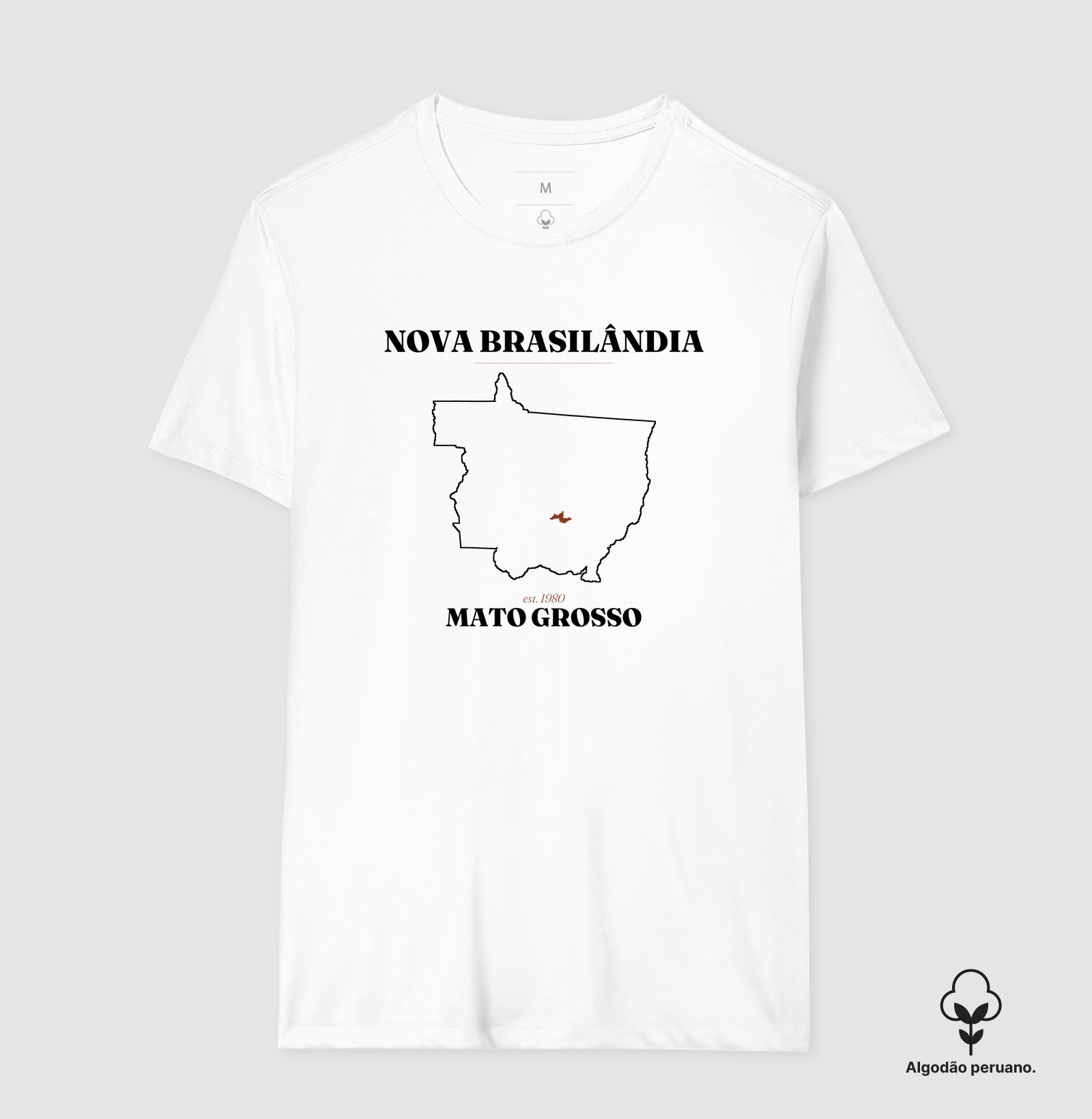 Nova Brasilândia | Legado MT - Imagem 5