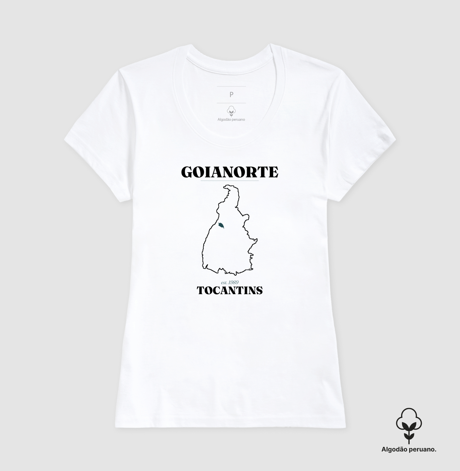 Goianorte | Legado TO - Imagem 9