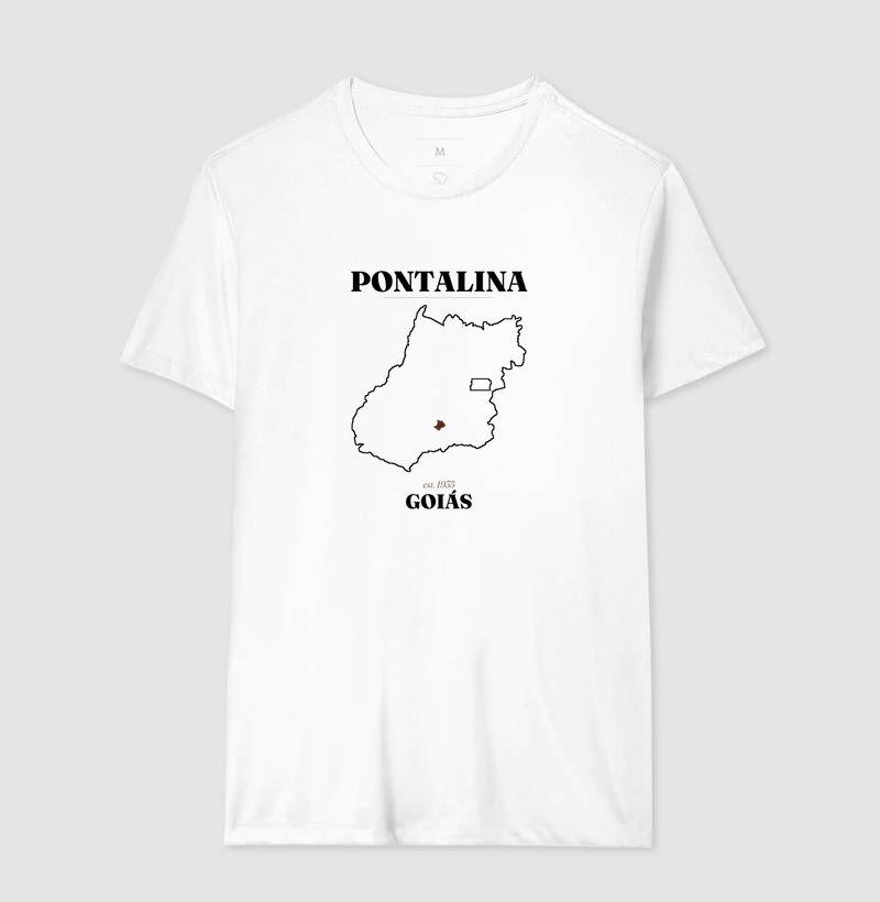 Pontalina | Legado GO - Imagem 4