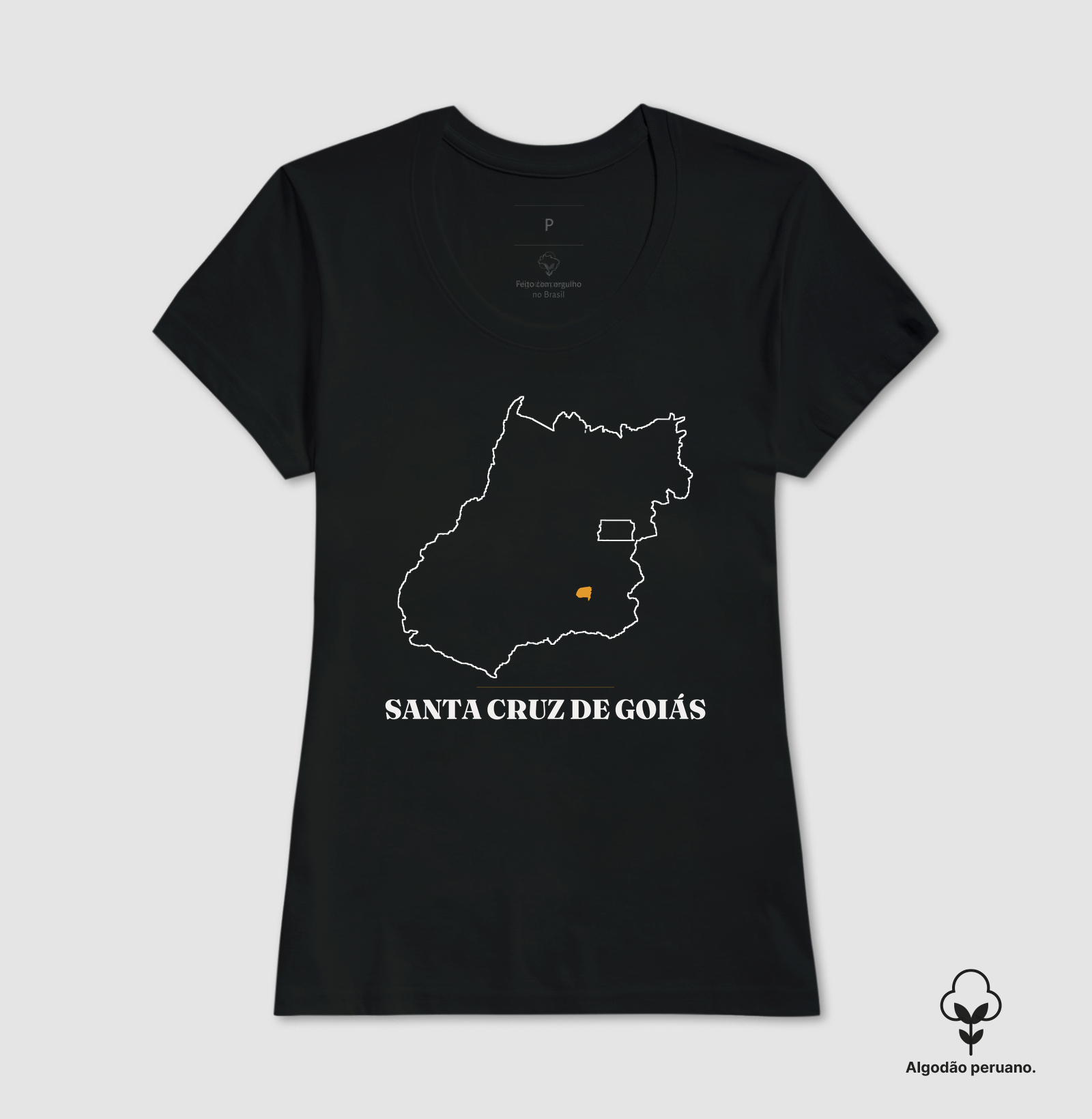 Santa Cruz de Goiás | Traço GO - Imagem 3