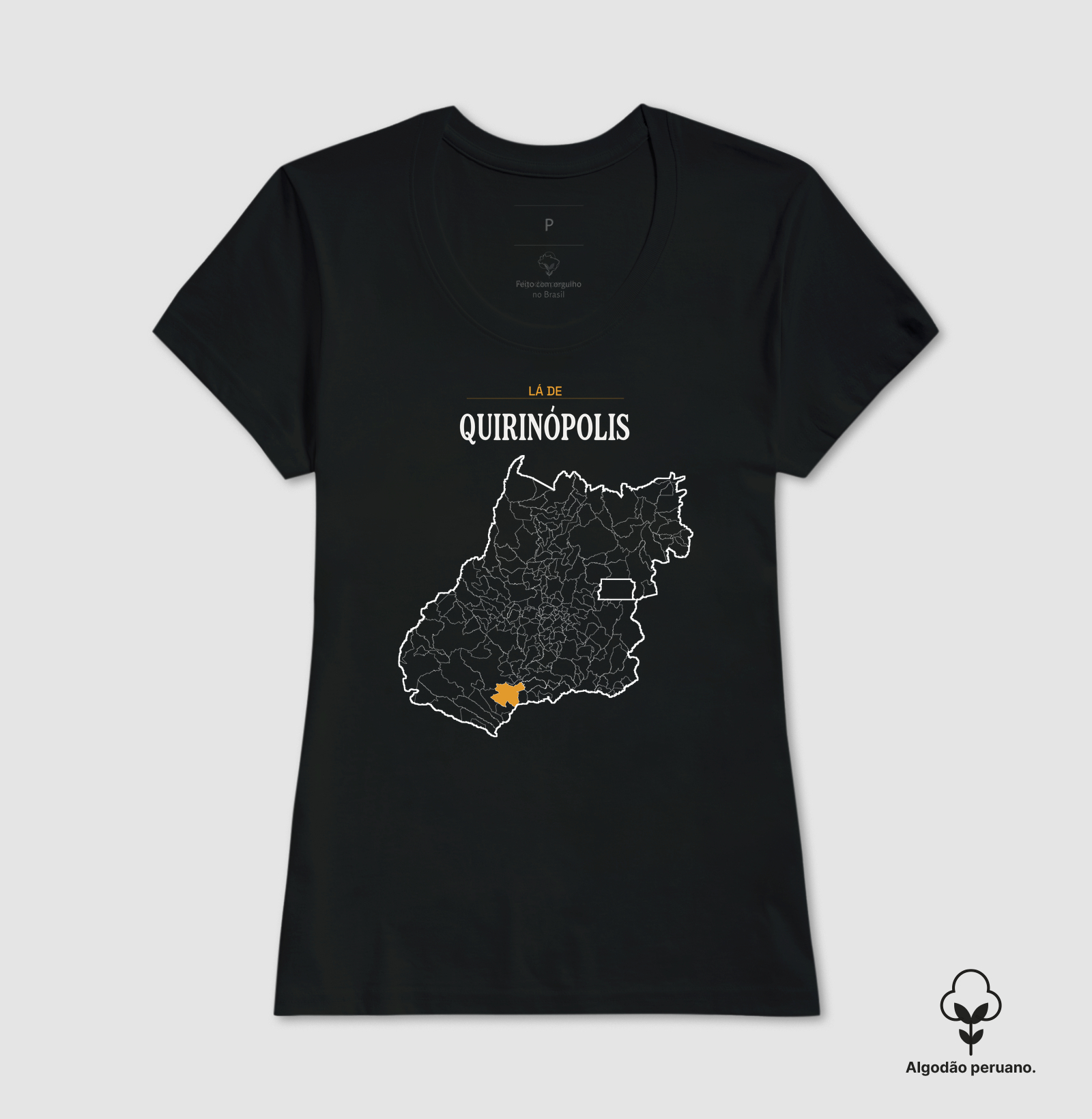 Quirinópolis | Território GO - Imagem 4