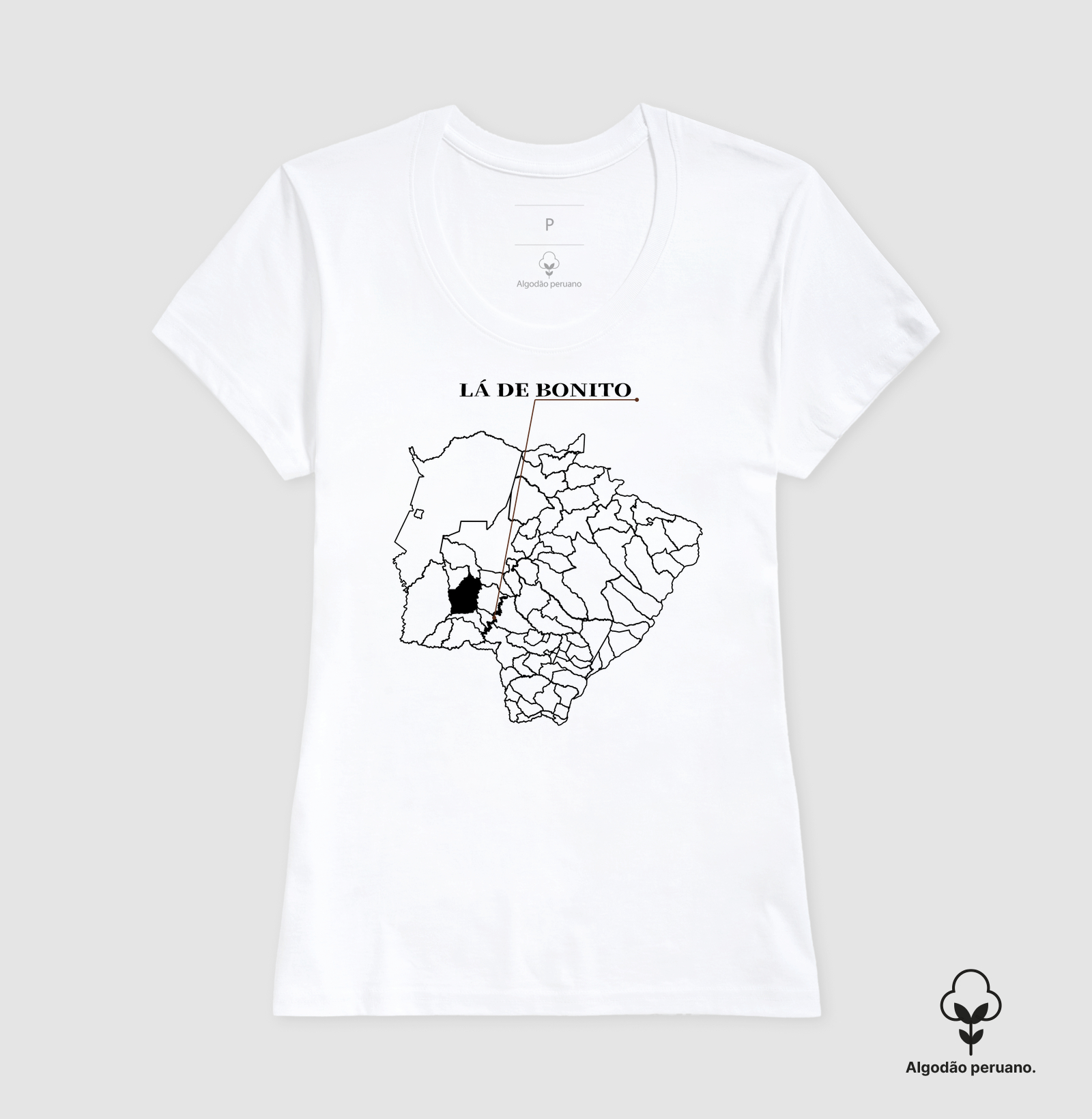 Bonito | Origem MS - Imagem 6