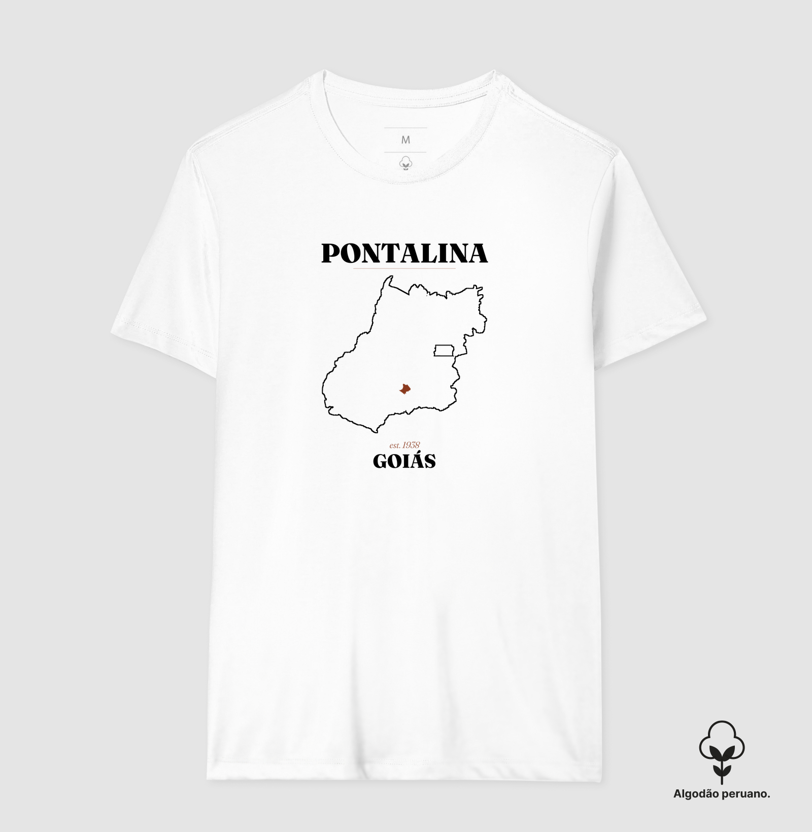 Pontalina | Legado GO - Imagem 2