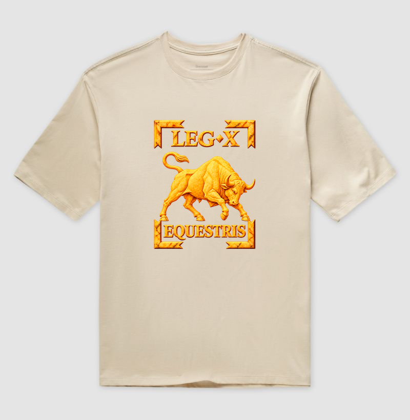 LEGIO — X Equestris - III - Imagem 3