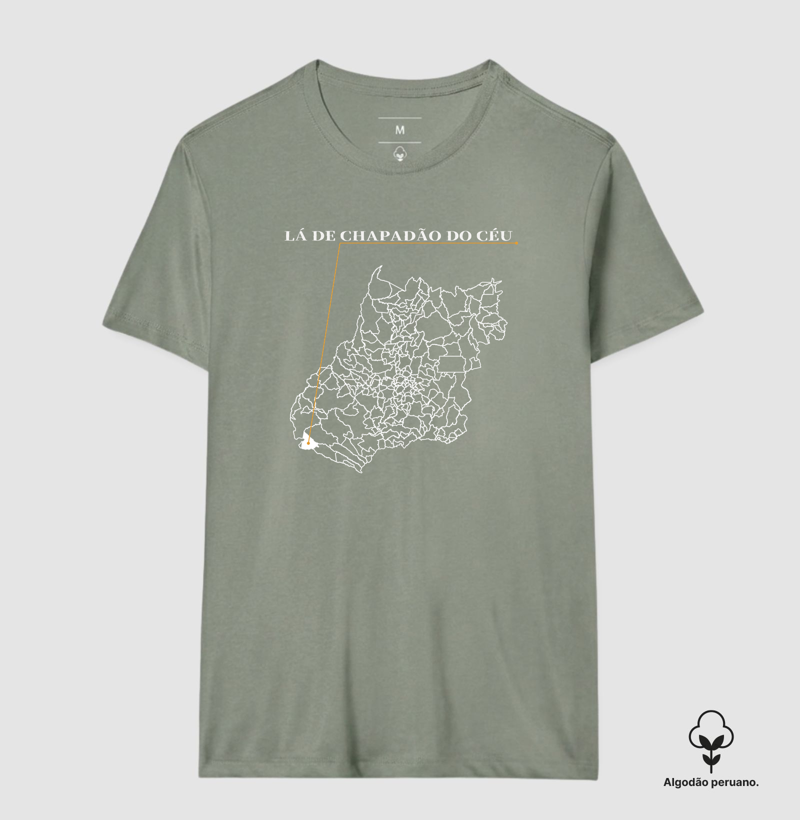 Chapadão do Céu | Origem GO - Imagem 3