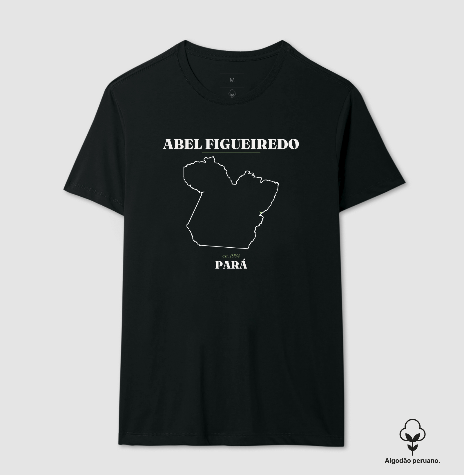 Abel Figueiredo | Legado PA - Imagem 2